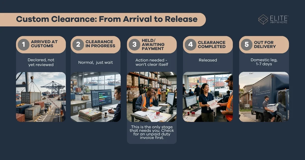 Timeline of customs tracking statuses from arrival at customs through clearance to final delivery.