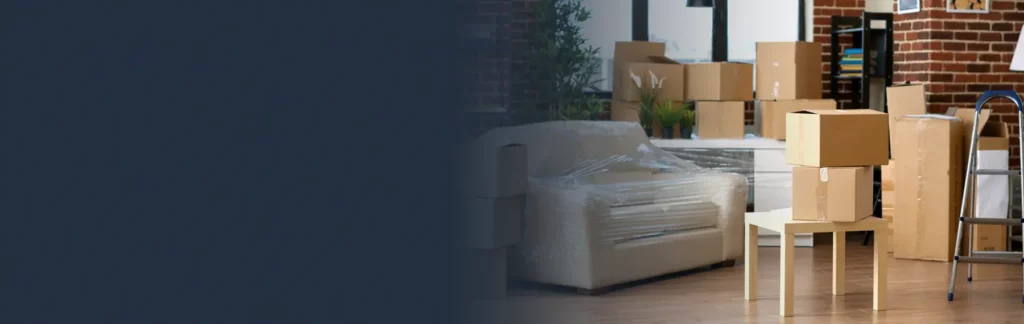 unlocking the secrets of effective furniture storage 2
